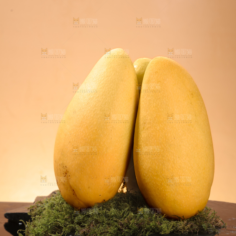 水仙芒