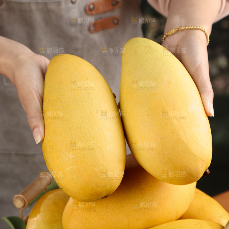 水仙芒