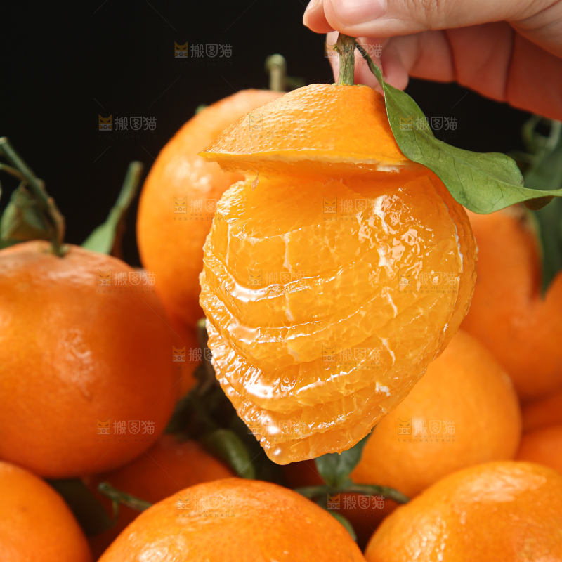 爱媛果冻橙