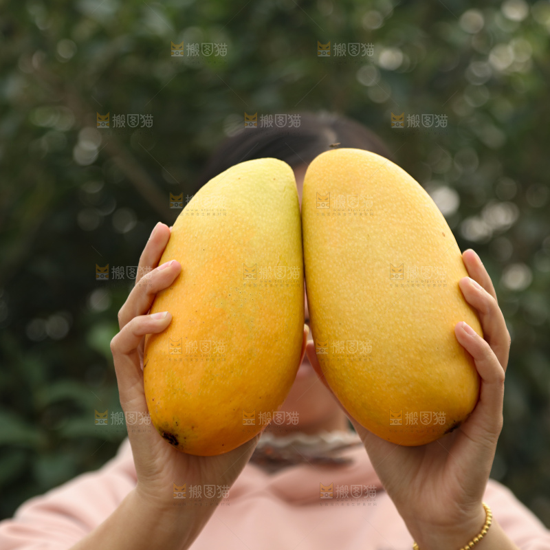 水仙芒
