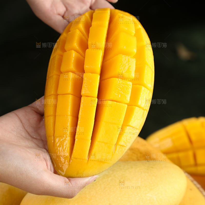 水仙芒