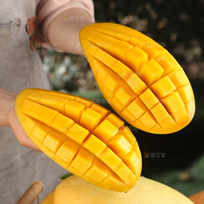 水仙芒