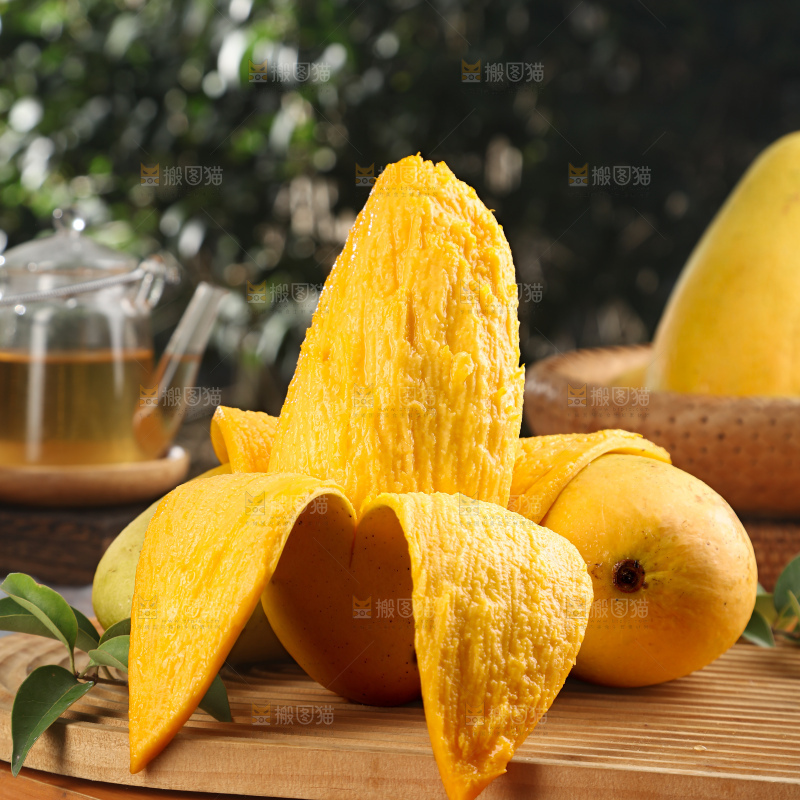 水仙芒