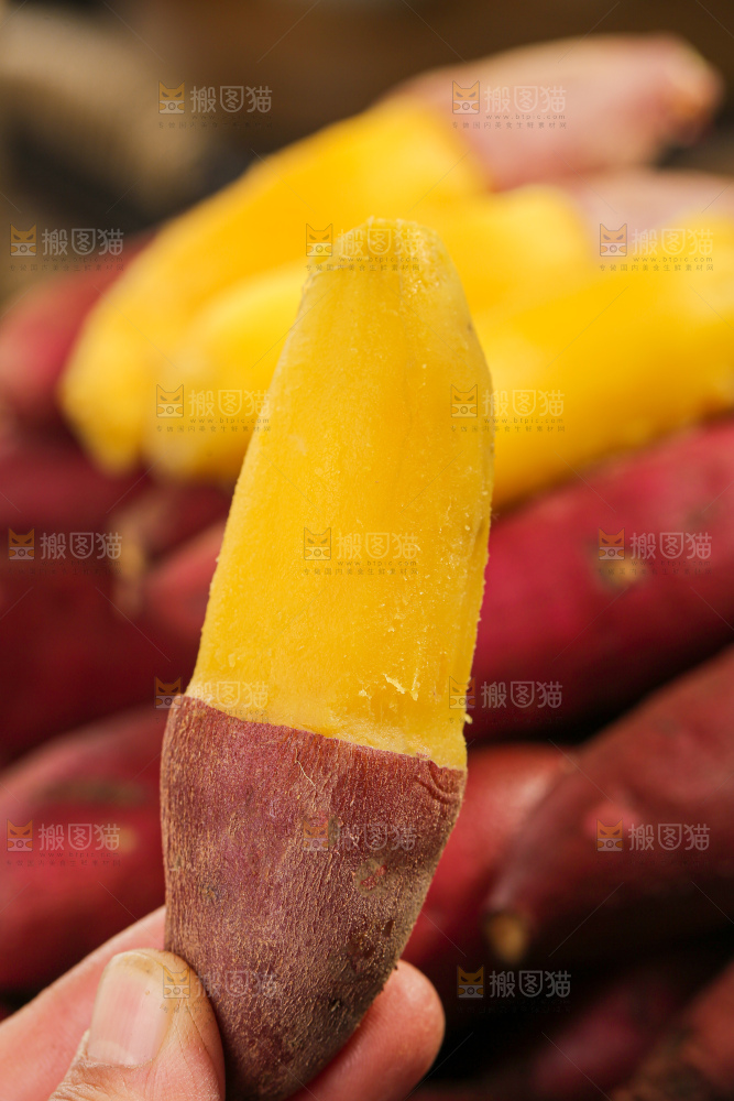 小香薯