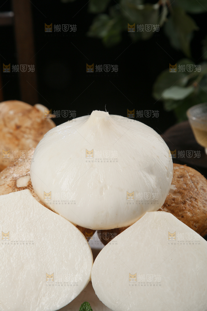 凉薯