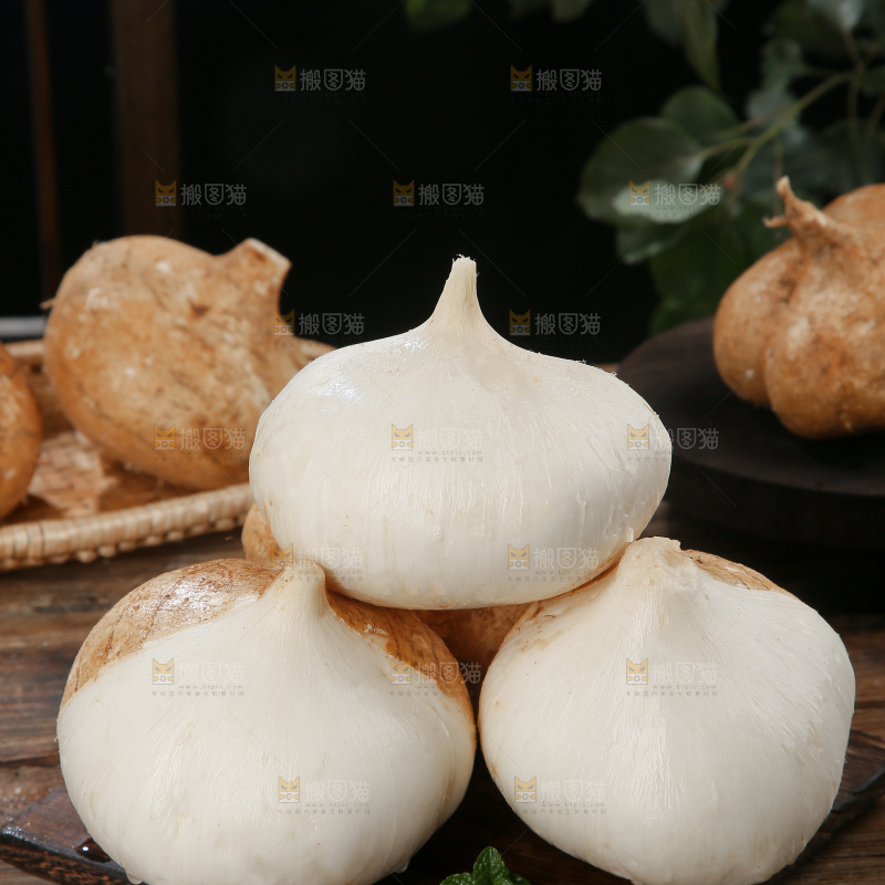 凉薯