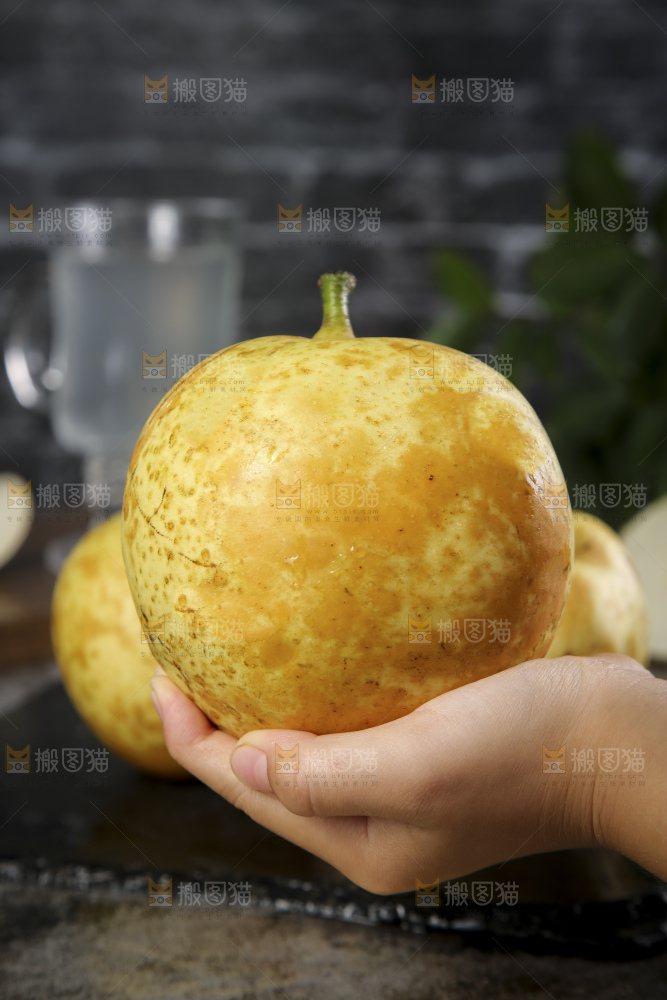 连州水晶梨