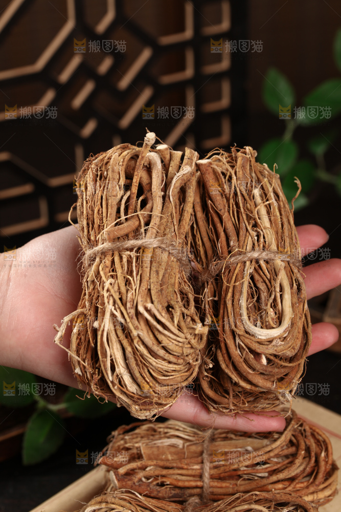 五指毛桃