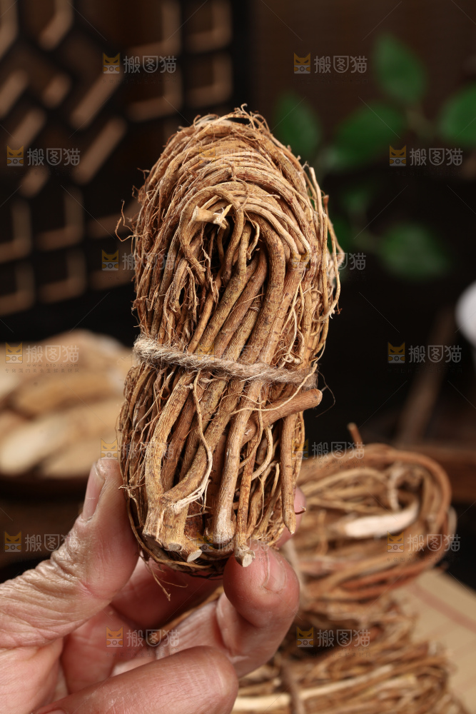 五指毛桃