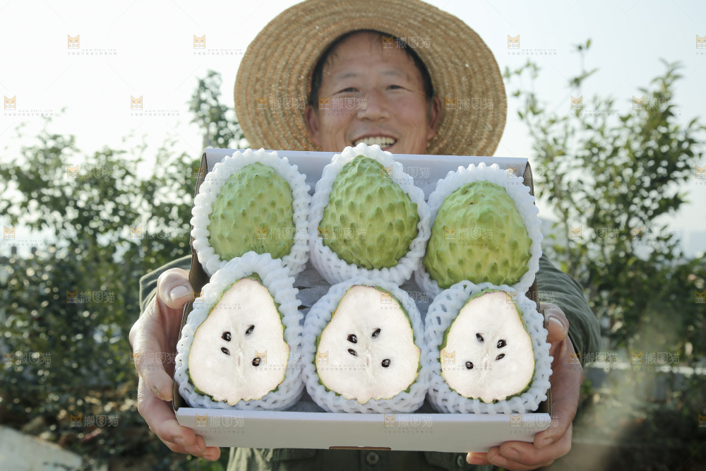释迦果