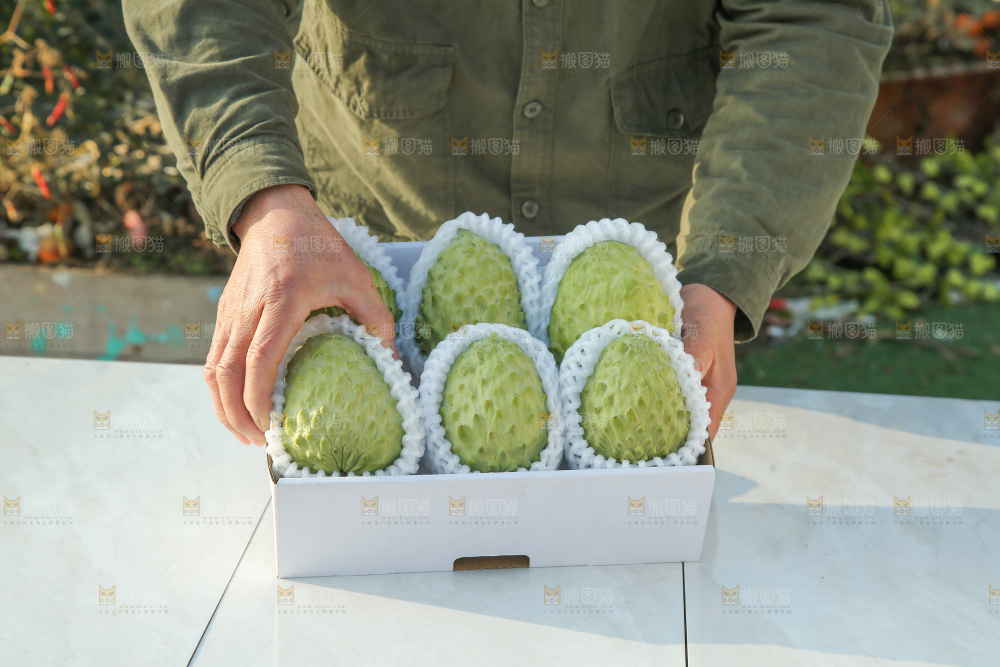 释迦果
