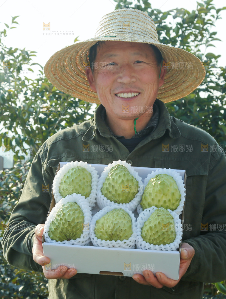 释迦果