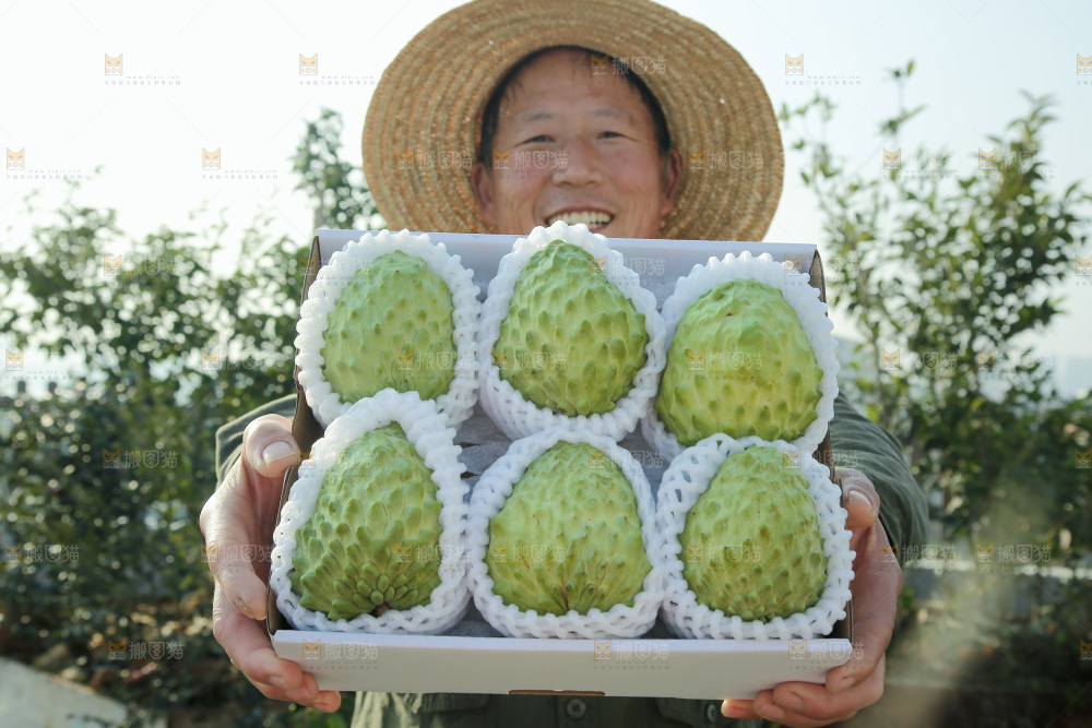 释迦果
