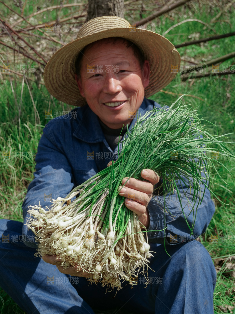 野葱