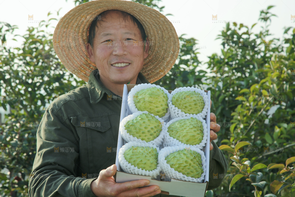 释迦果