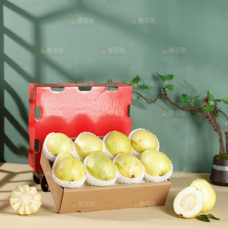 白心芭乐
