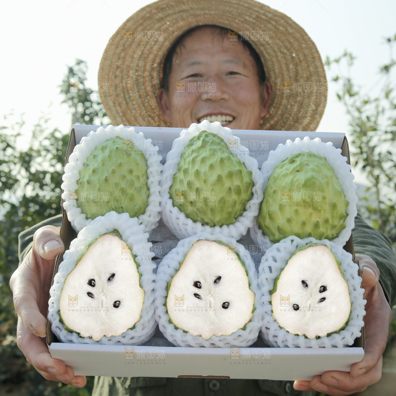 释迦果