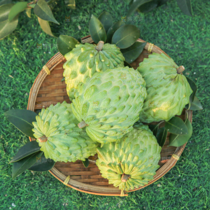 释迦果