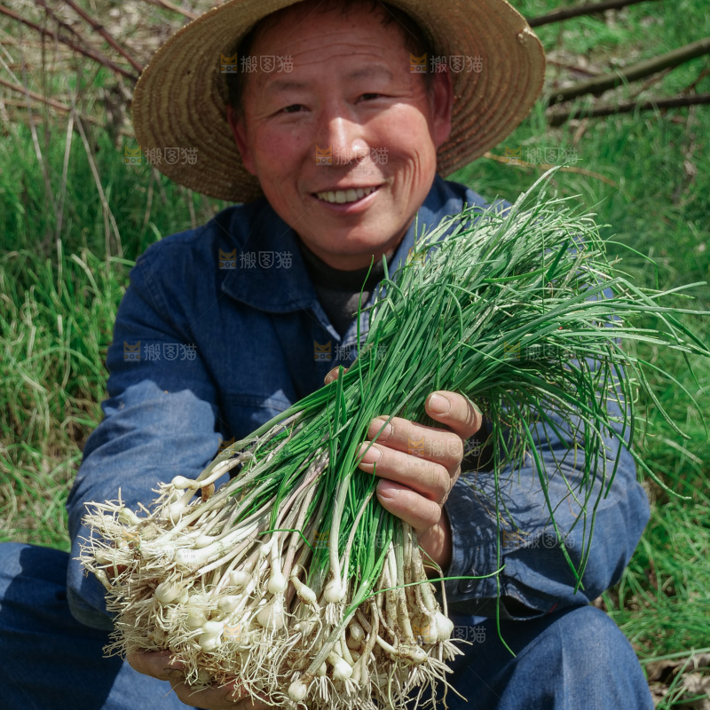 野葱