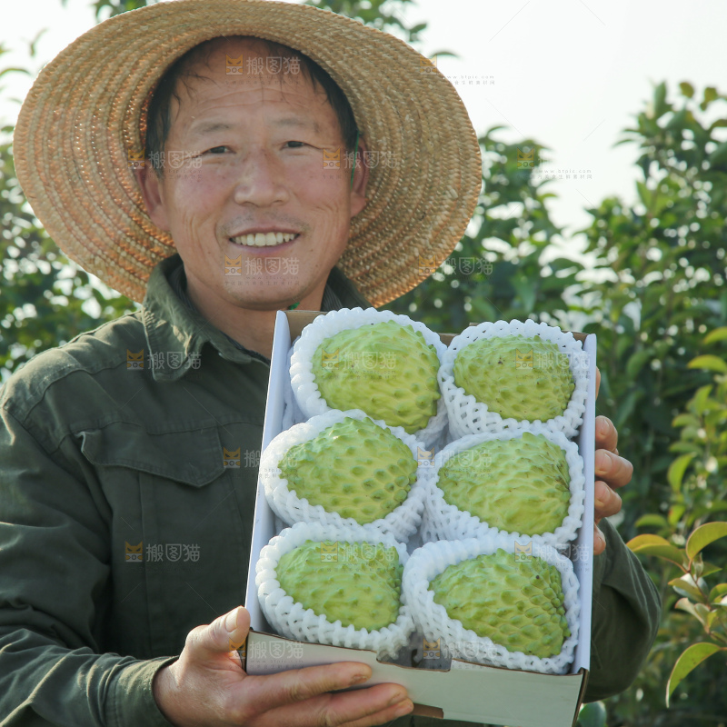 释迦果