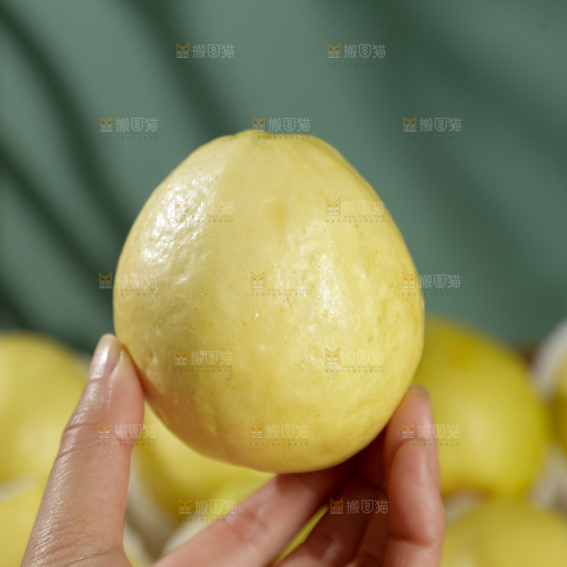白心芭乐