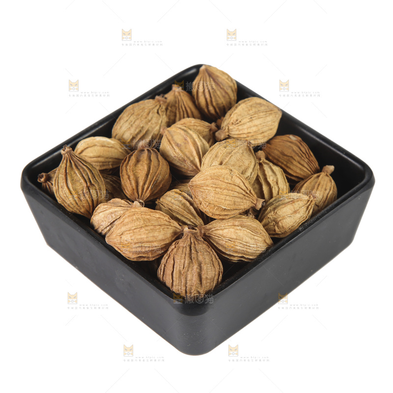 香砂仁