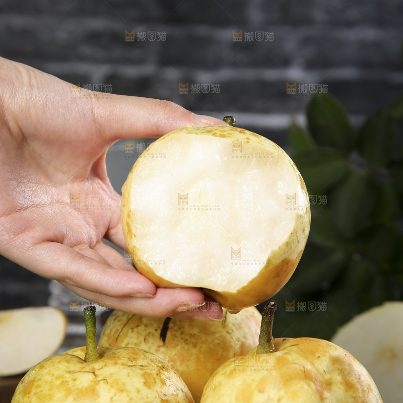 连州水晶梨