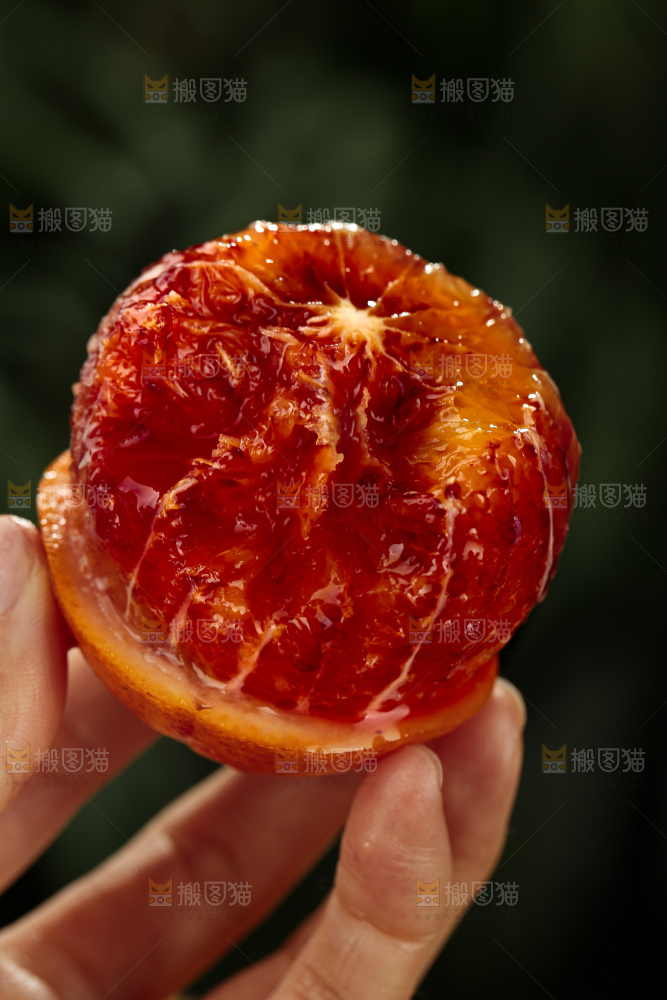 塔罗科血橙