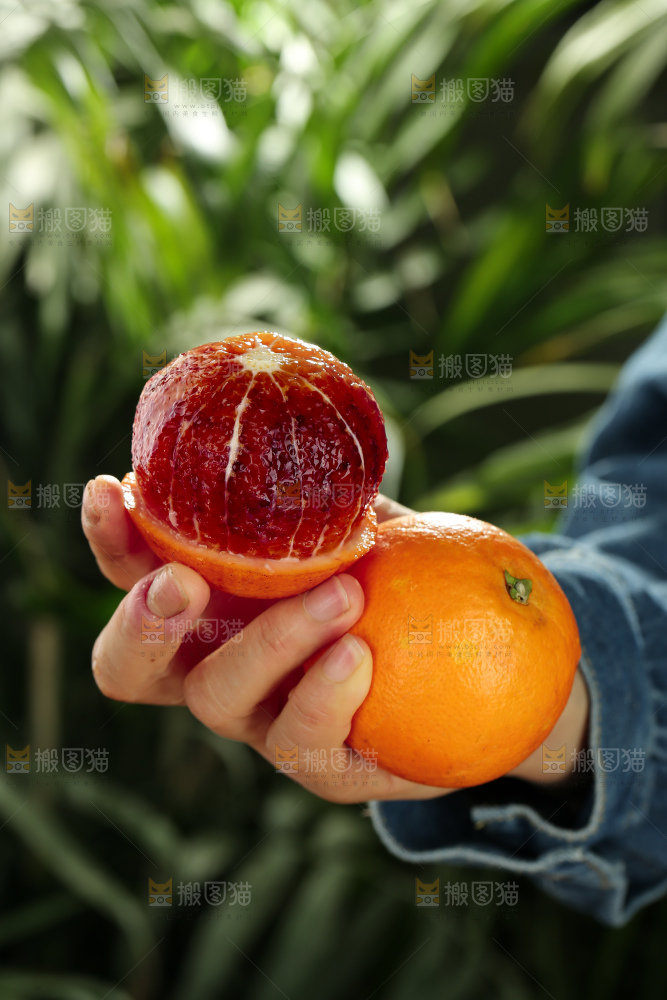 塔罗科血橙