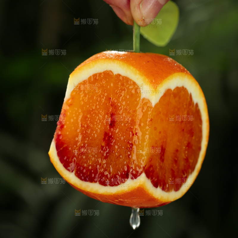 塔罗科血橙