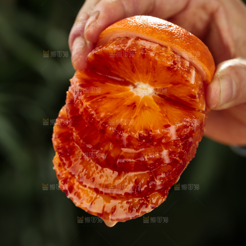 塔罗科血橙