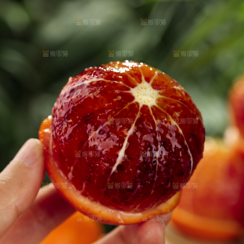 塔罗科血橙