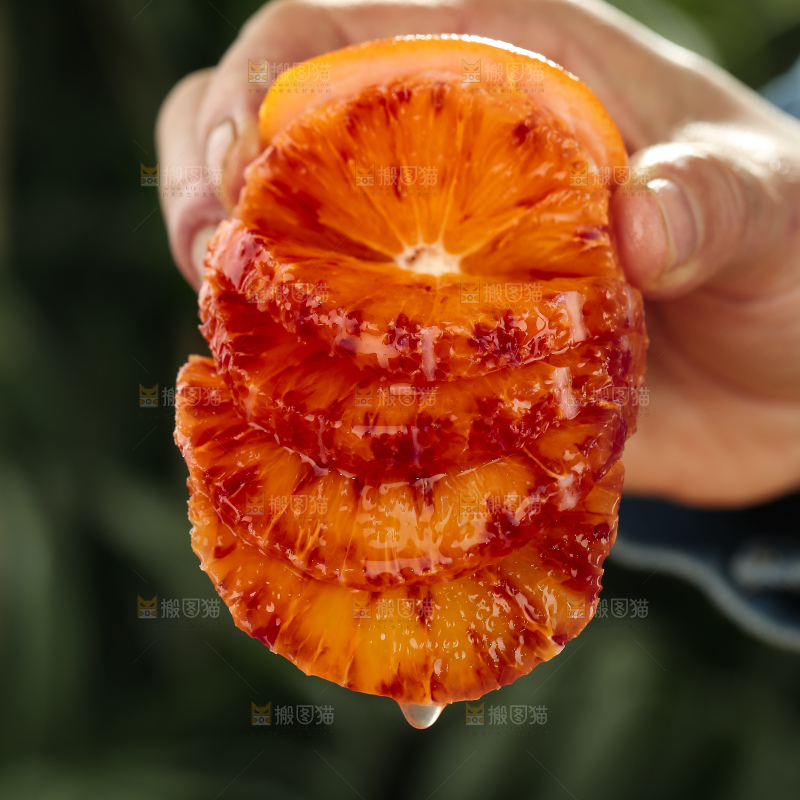 塔罗科血橙