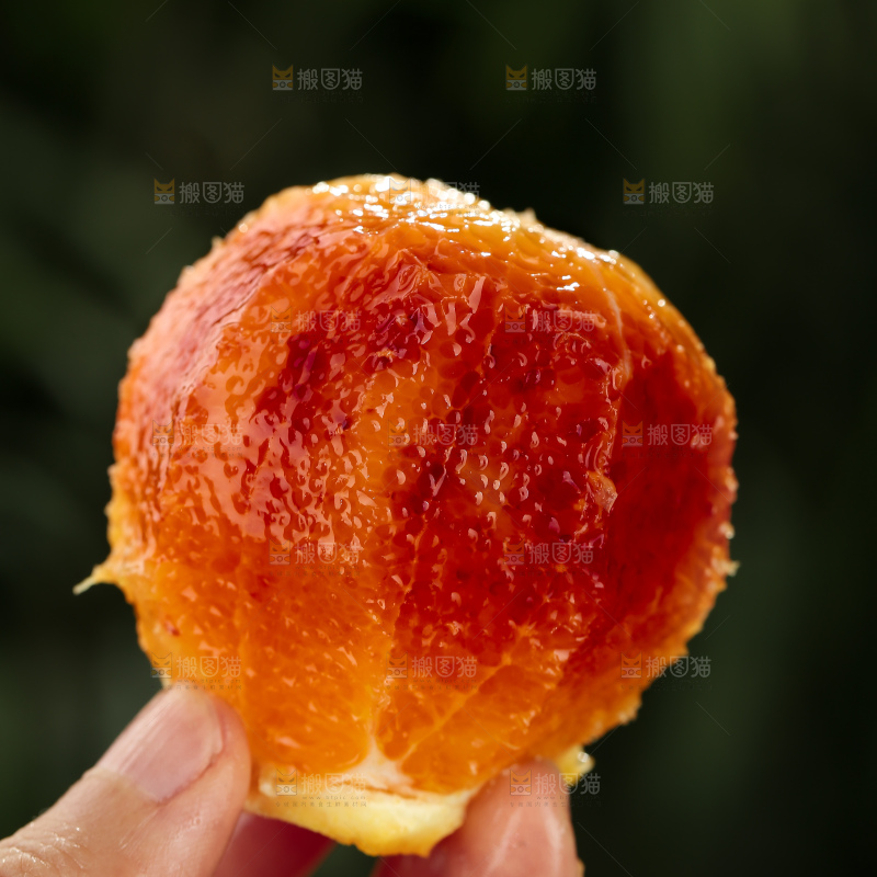 塔罗科血橙