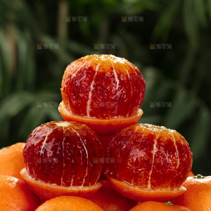 塔罗科血橙