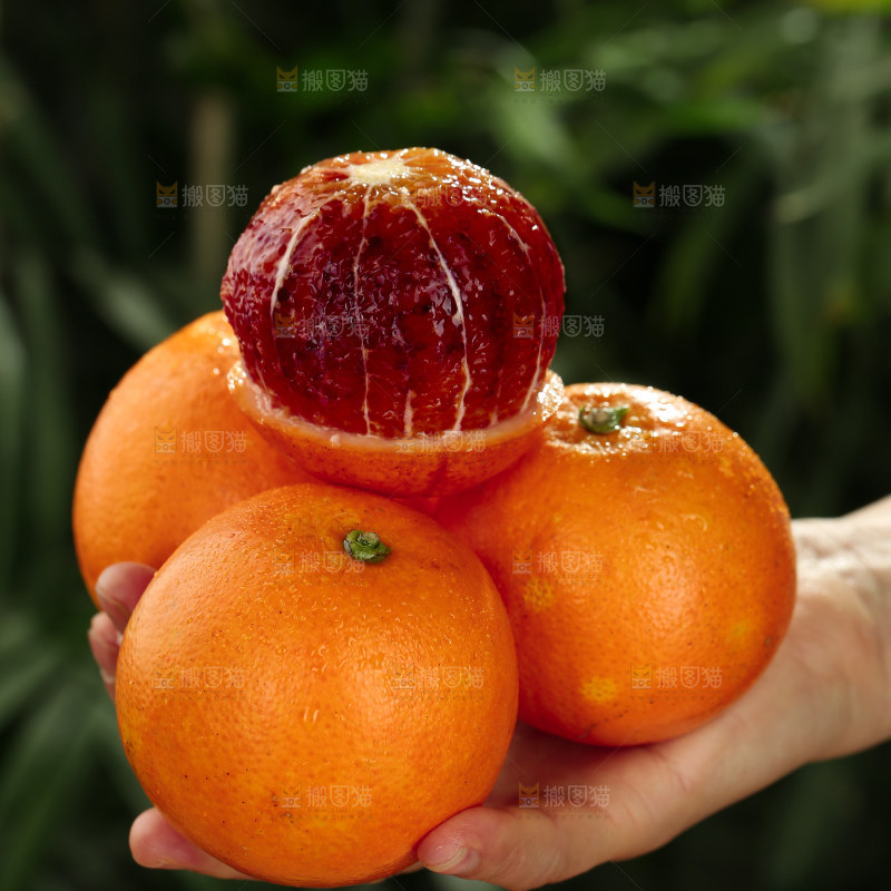 塔罗科血橙
