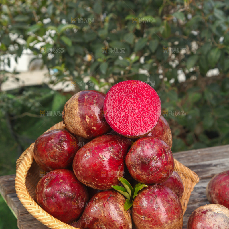 甜菜根