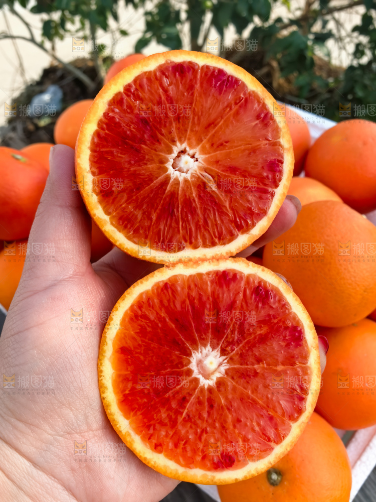 塔罗科血橙
