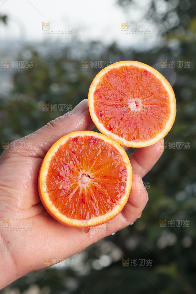 塔罗科血橙