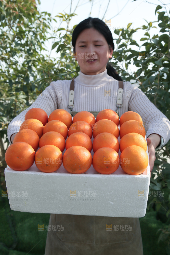 塔罗科血橙