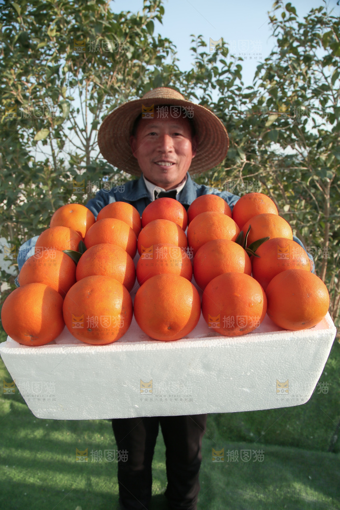 塔罗科血橙