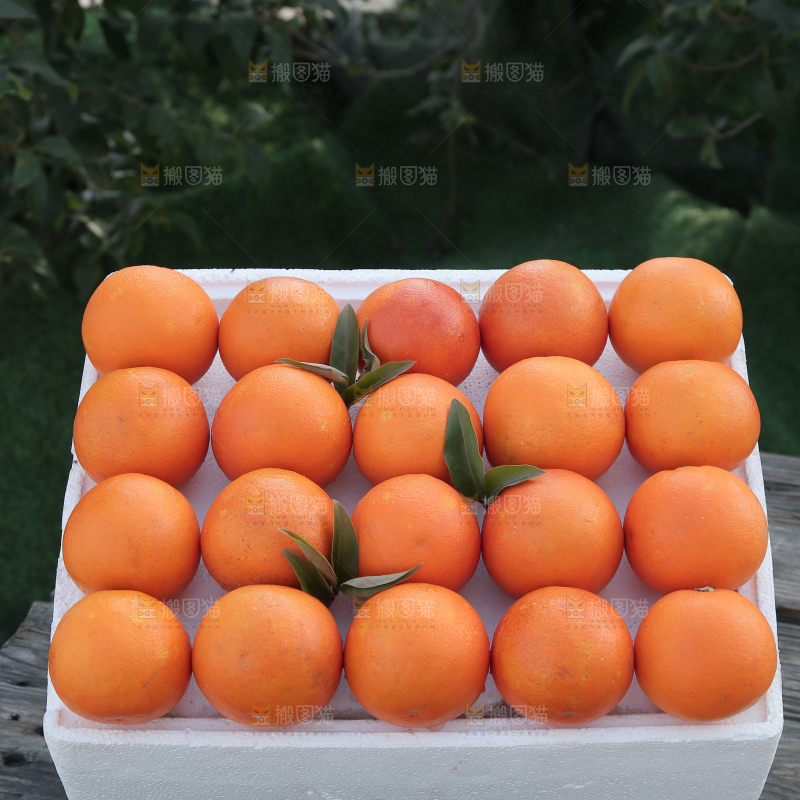塔罗科血橙