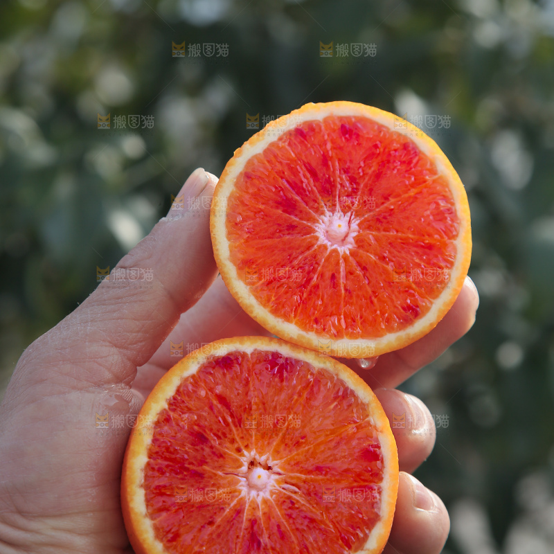 塔罗科血橙
