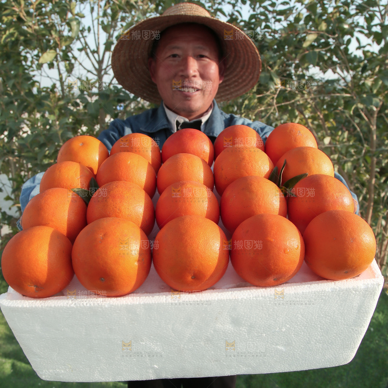 塔罗科血橙