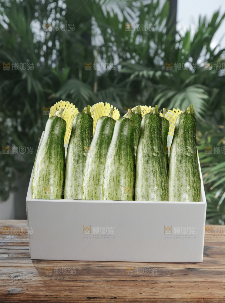 羊角蜜甜瓜礼盒