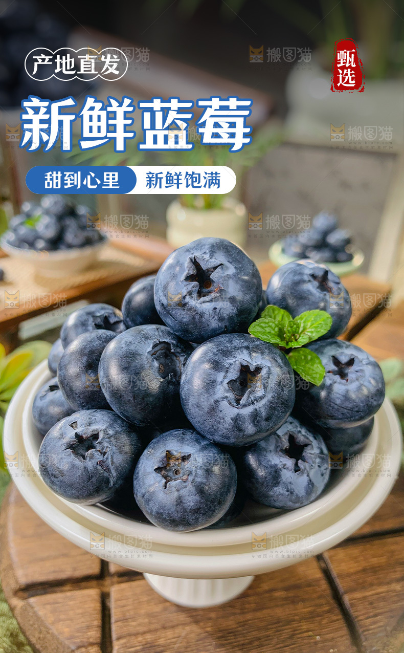 蓝莓详情