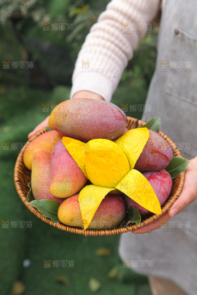贵妃芒