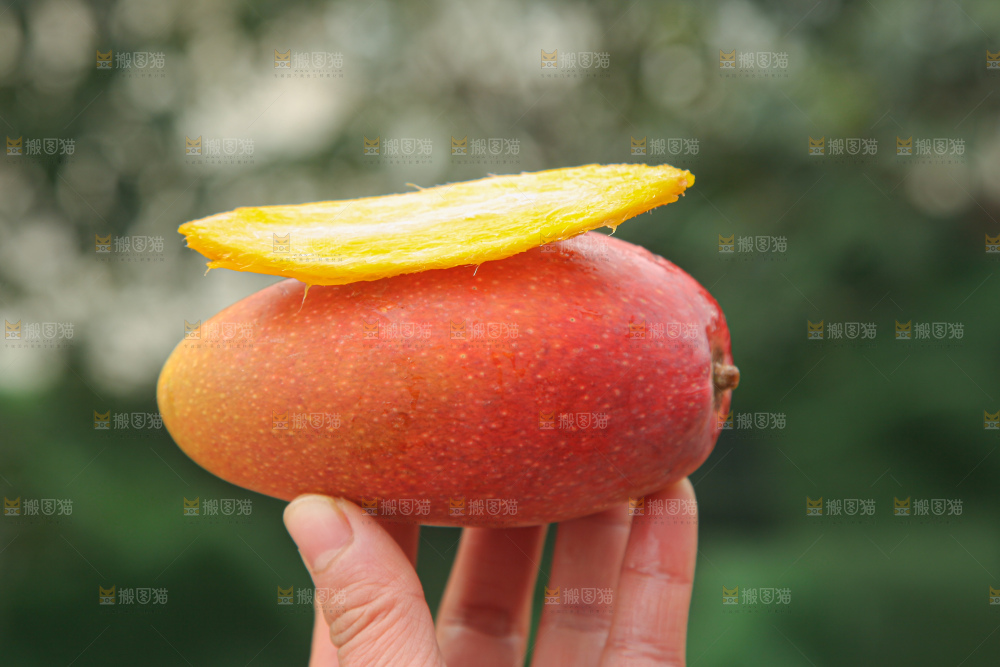 贵妃芒