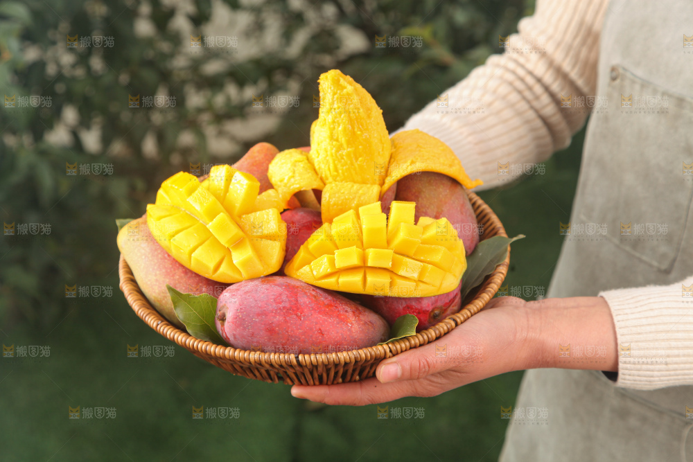 贵妃芒