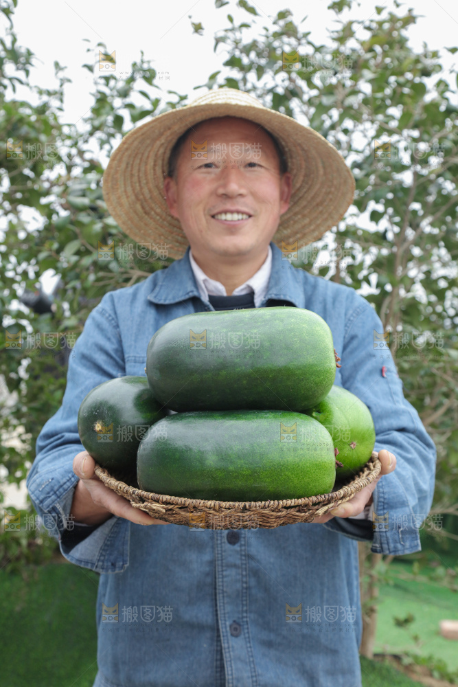 小冬瓜